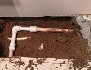 浠水测漏水哪家好