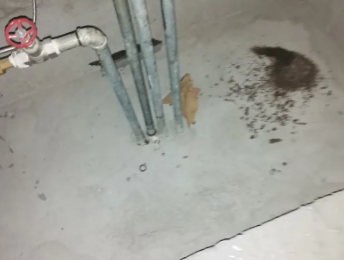 浠水卫生间测漏水价格明细