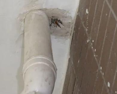 浠水漏水检测哪家好